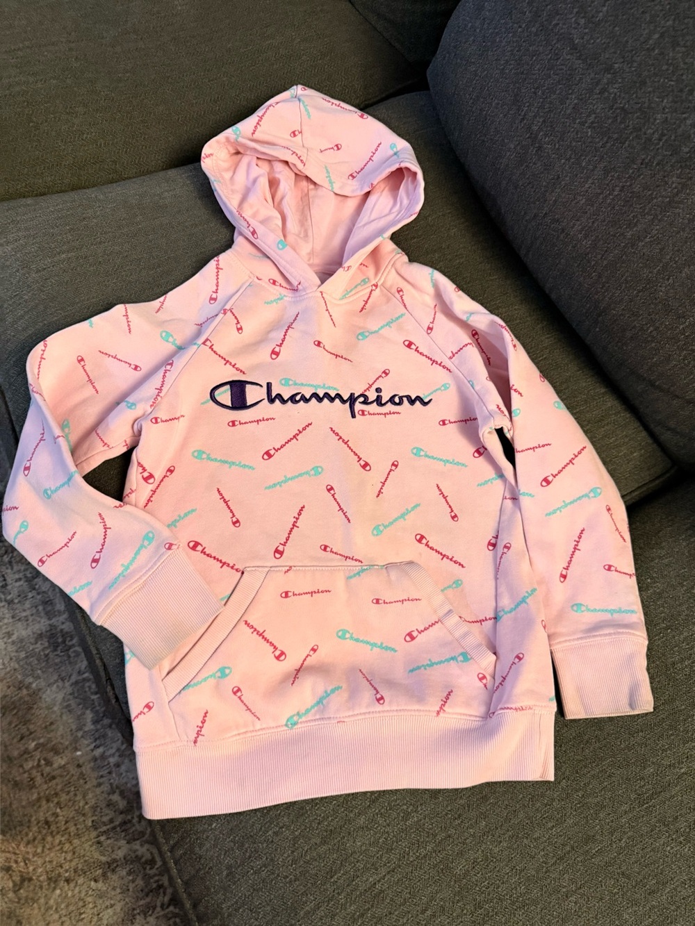 Champion Pink Hoodie with Teal and Red Script